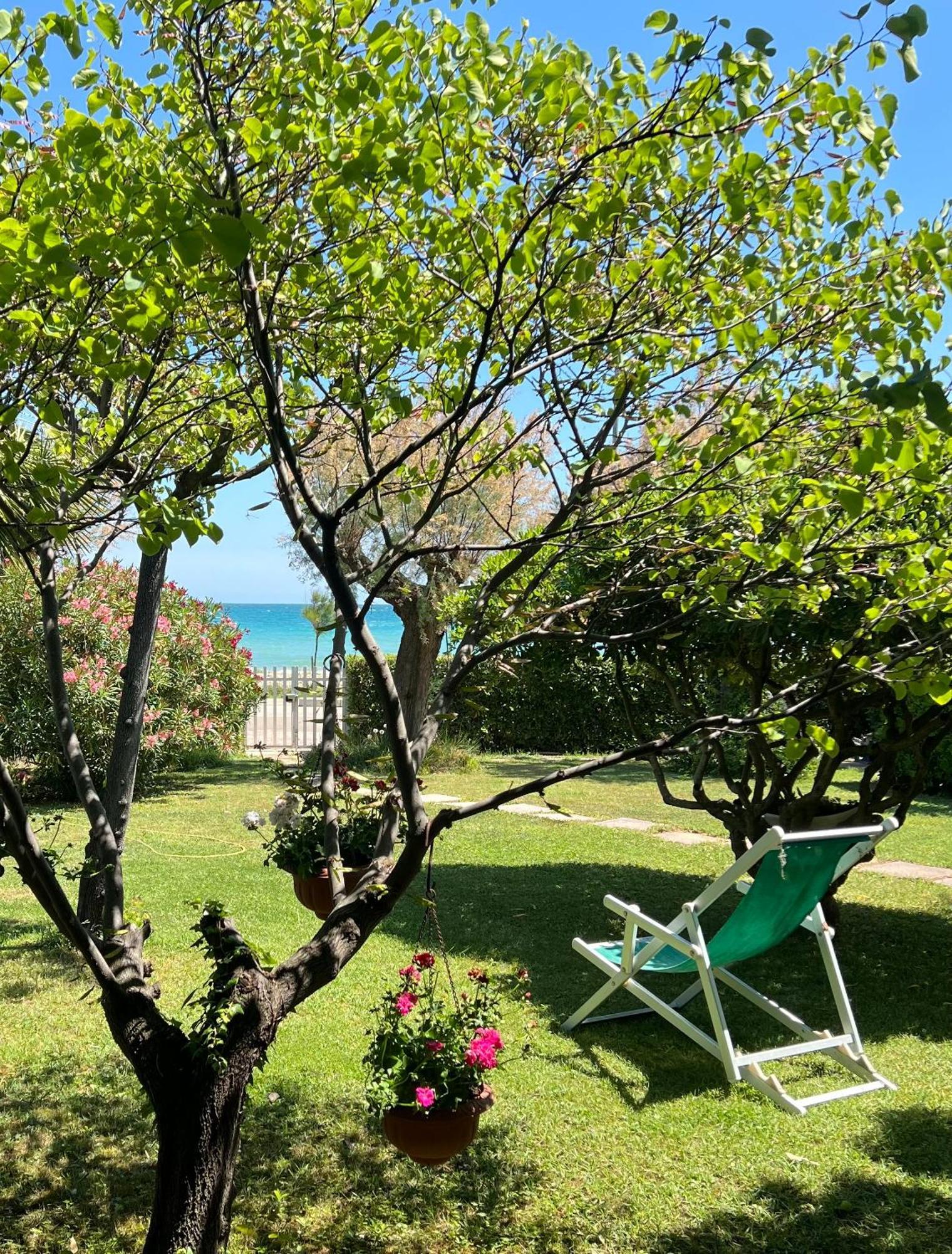 B&B I Versi Del Mare 阿布鲁齐的罗塞托 外观 照片