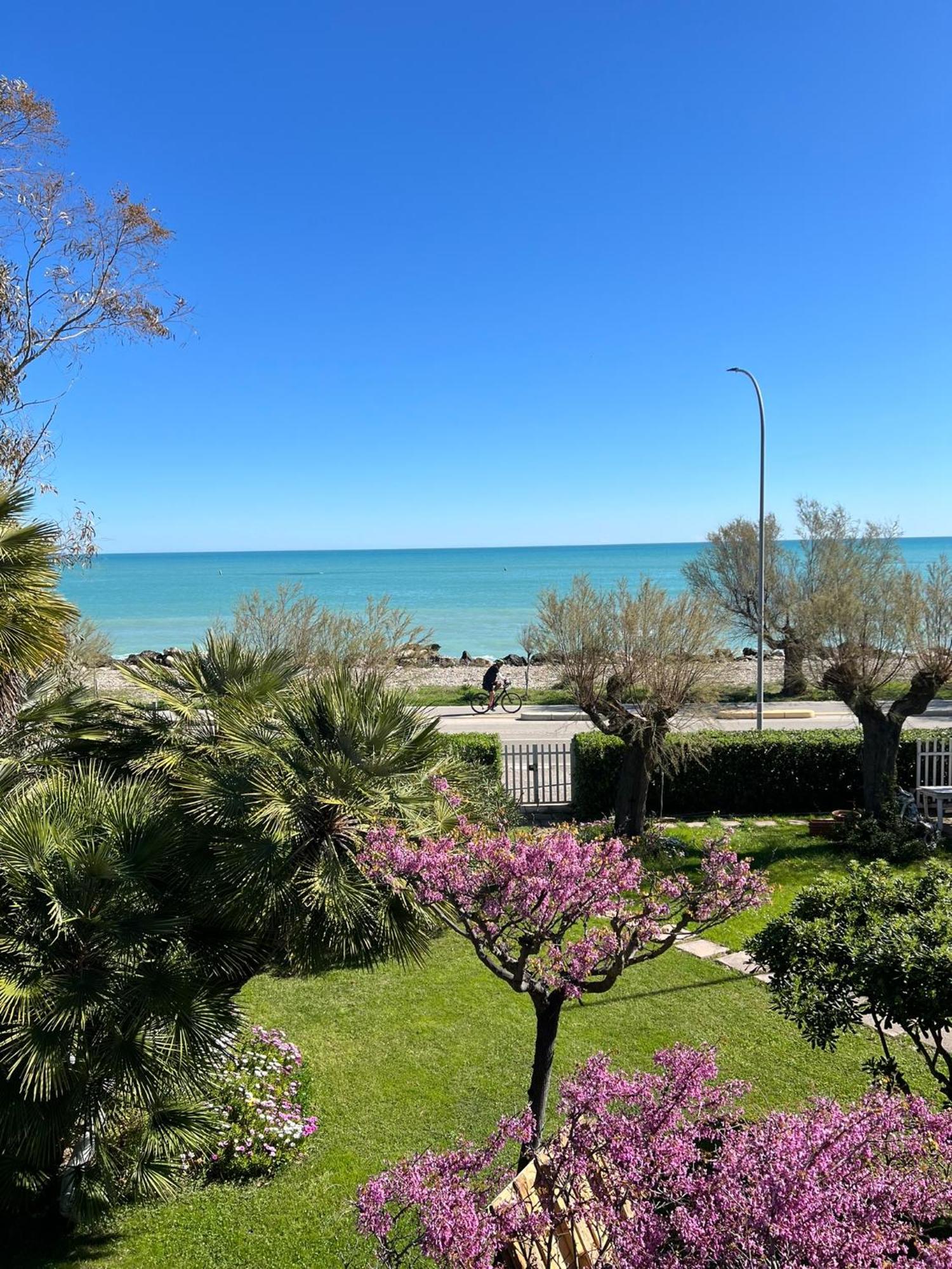 B&B I Versi Del Mare 阿布鲁齐的罗塞托 外观 照片